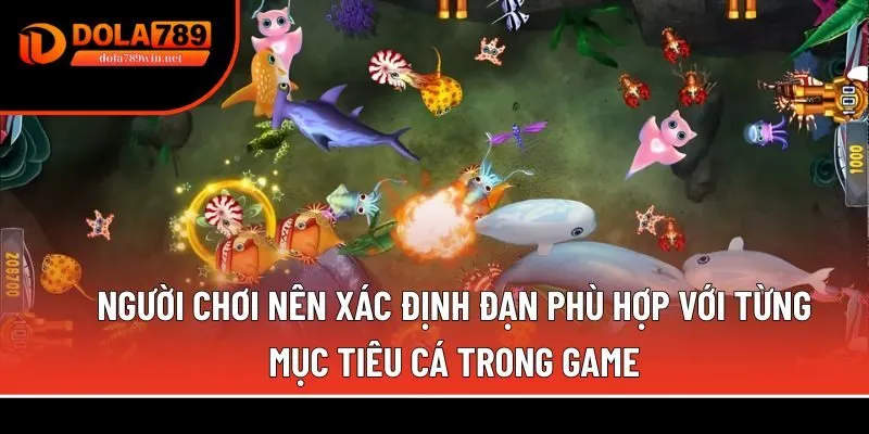 Người chơi nên xác định đạn phù hợp